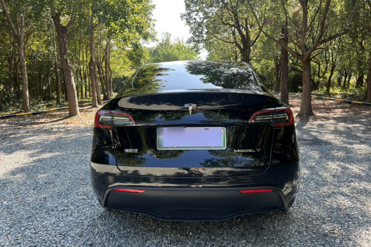 特斯拉 Model Y 2023款 后轮驱动版车身外观6003