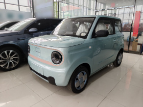 吉利银河 2024款 熊猫mini 200km 耐力熊