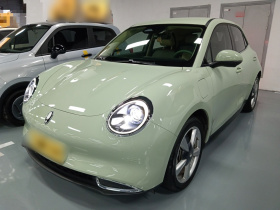 欧拉好猫 2023款 401km标准续航 豪华型 磷酸铁锂