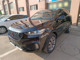 魏牌 VV6 2018款 2.0T 两驱旗舰型 国V