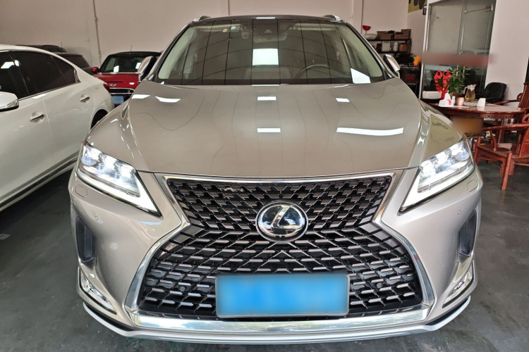 雷克萨斯RX 2020款 改款 300 四驱典雅版车身外观2