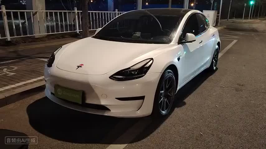 特斯拉 Model 3 2022款 后轮驱动版检测视频1
