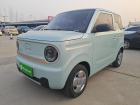 吉利银河 2024款 改款 熊猫mini 200km 龙腾版