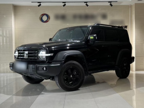 坦克300 2025款 2.0T 挑战者