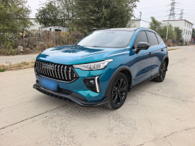 哈弗赤兔 2021款 激擎版 1.5T 铂金兔