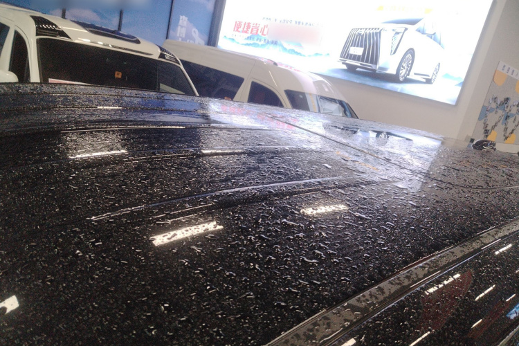 红旗HQ9 2024款 2.0T 商务版局部细节57