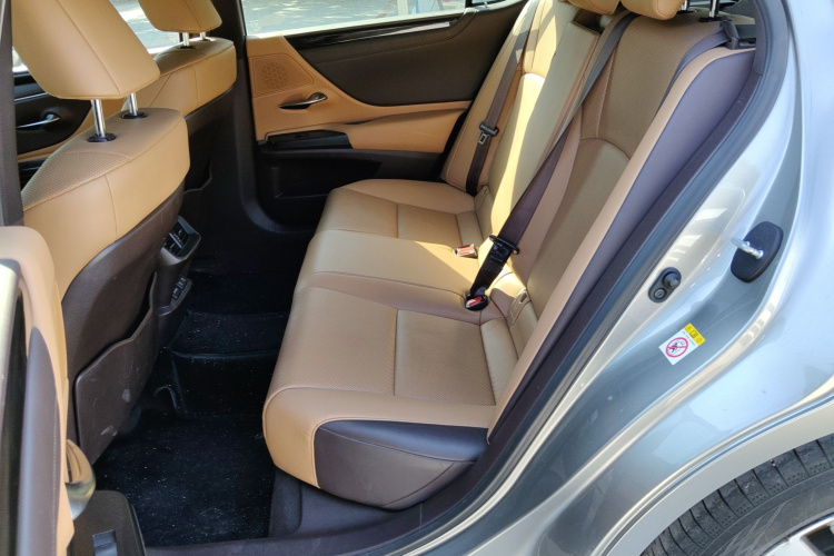 雷克萨斯ES 2018款 200 豪华版 国V中控内饰21