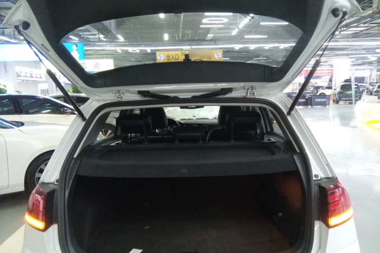 大众 高尔夫 2019款 280TSI DSG舒适型 国V局部细节23