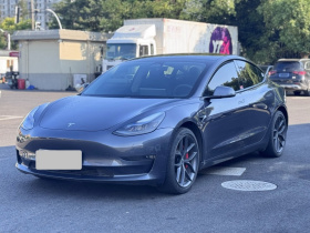 特斯拉 Model 3 2022款 Performance高性能全轮驱动版