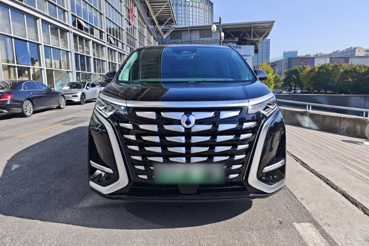 腾势D9 2022款 DM-i 970 四驱尊荣型车身外观6001