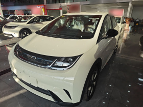 比亚迪 海豚 2025款 420km 自由版