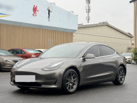 特斯拉 Model 3(进口) 2019款 长续航后驱版