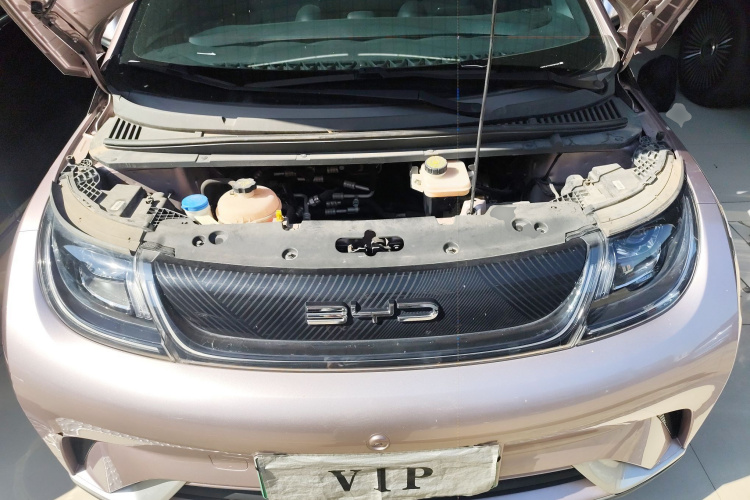 比亚迪 海豚 2021款 405km 时尚版局部细节24