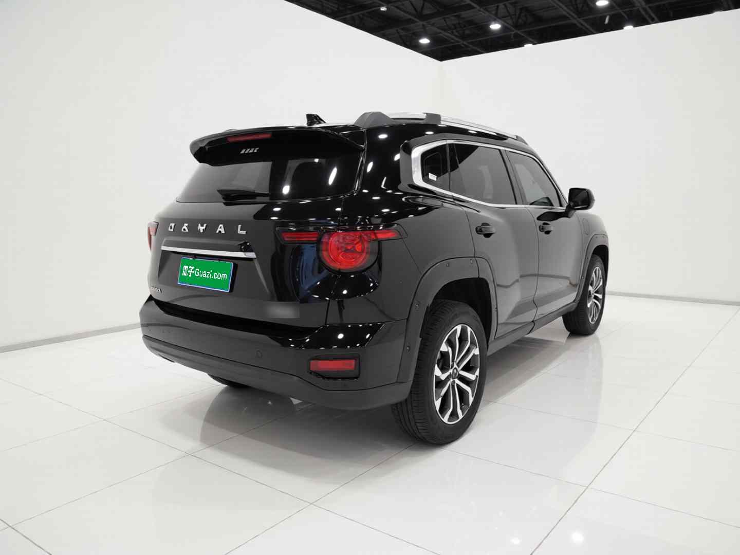 哈弗大狗 PLUS 2023款 1.5T 两驱潮野版Plus(5)