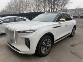 红旗E-HS9 2021款 510km 旗畅版 六座
