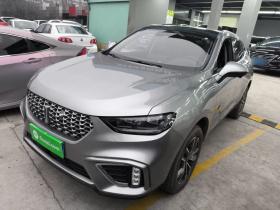 魏牌 VV5 2021款 1.5T 两驱智先锋