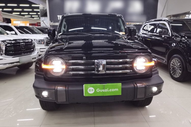 坦克300 2021款 城市版 2.0T 必须型车身外观2