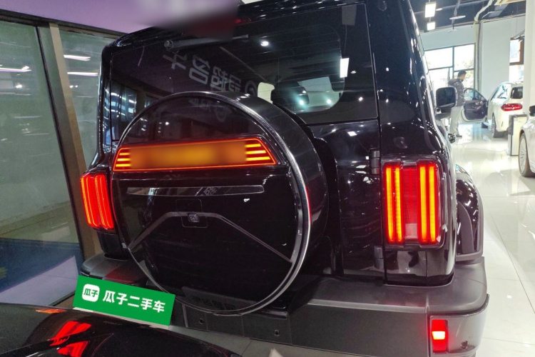 坦克300 2023款 城市版 2.0T 我看型车身外观6004