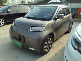 欧拉白猫 2020款 305km 豪华型