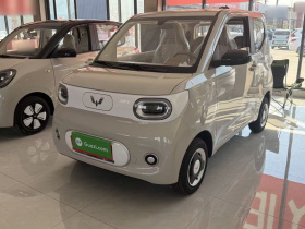 五菱汽车 宏光MINIEV 2024款 第三代 215km 青春版