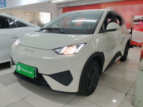 比亚迪 海鸥 2025款 智驾版 305km 活力版