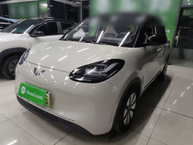 五菱汽车 五菱缤果 2023款 333km 悦享+款