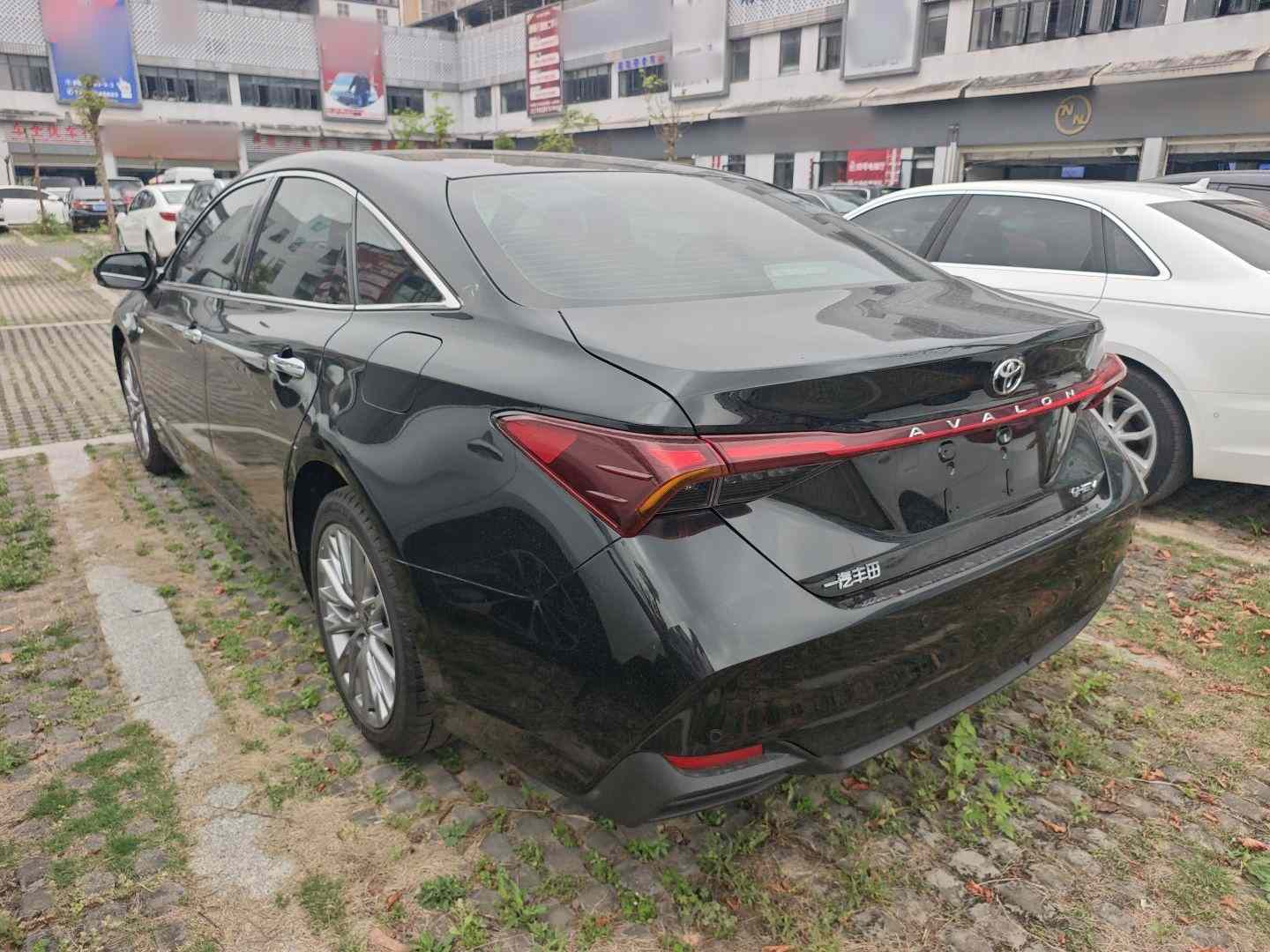 丰田 亚洲龙 2024款 双擎 2.0L 豪华版(3)