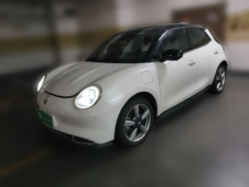 欧拉好猫 2021款 400km标准续航 雅典娜版 磷酸铁锂