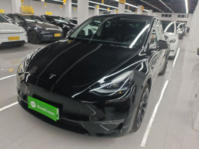 特斯拉 Model Y 2021款 长续航全轮驱动版 3D7