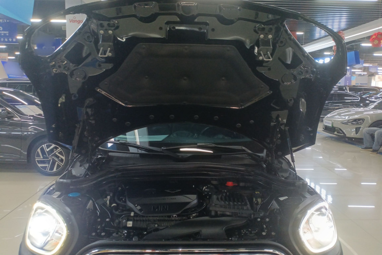 MINI Countryman 2018款 2.0T COOPER S ALL4 艺术家局部细节24