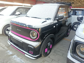 吉利银河 2025款 210km 熊猫卡丁