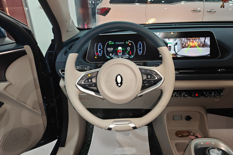 欧拉好猫 2021款 400km标准续航 维纳斯版 三元锂中控内饰13