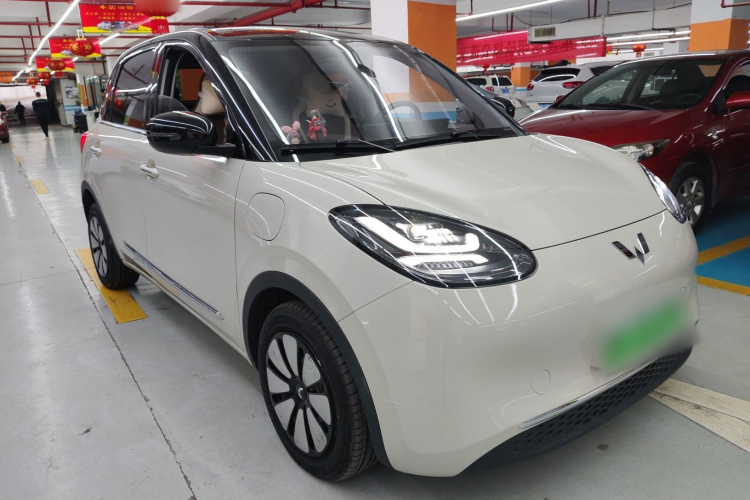 五菱汽车 五菱缤果 2024款 333km 灵犀互联款车身外观3