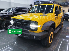 坦克300 2022款 2.0T 边境限定版