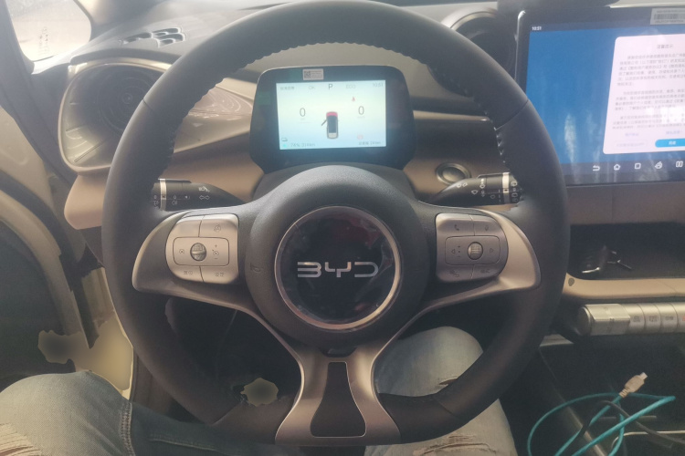 比亚迪 海豚 2025款 420km 自由版中控内饰13