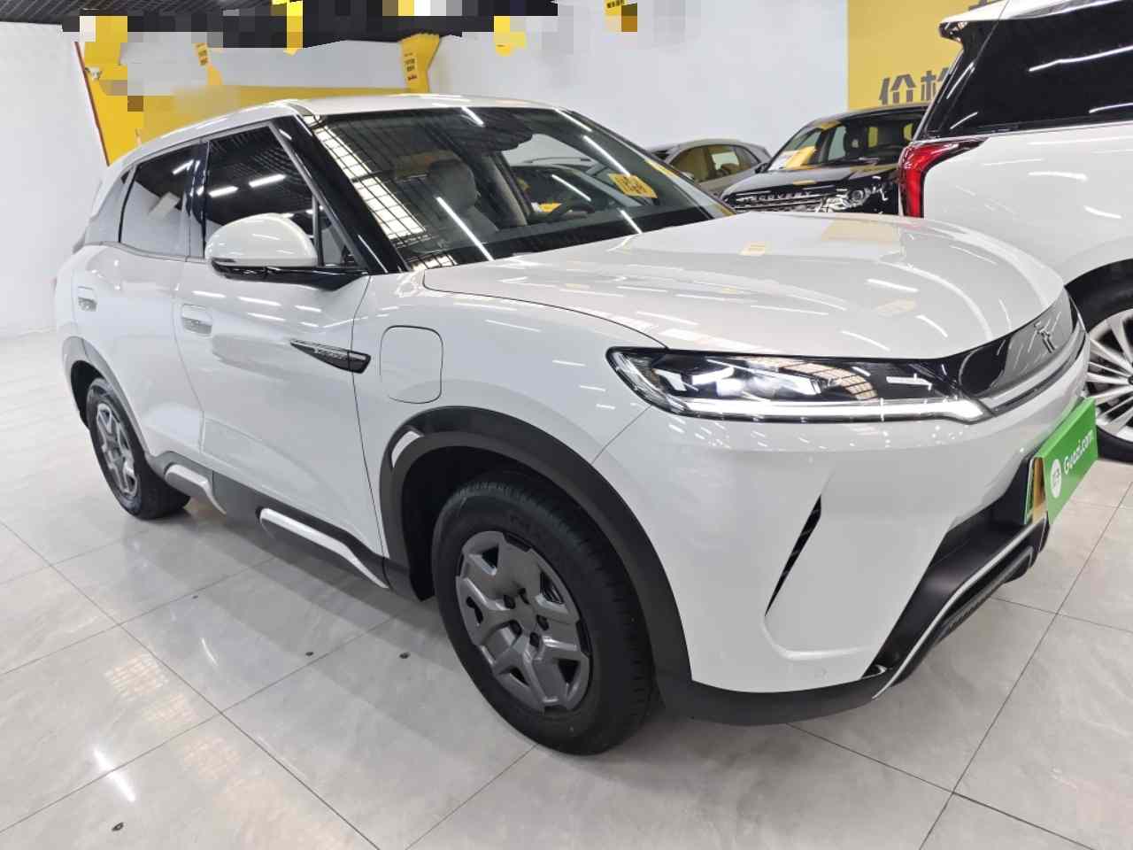比亚迪 元UP 2024款  401KM 活力版(5)