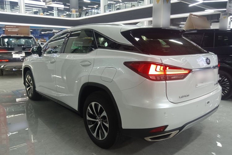 雷克萨斯RX 2020款 改款 300 两驱舒适版车身外观4