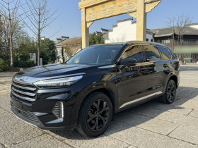 星途揽月 2021款 390T 两驱星耀长续航版