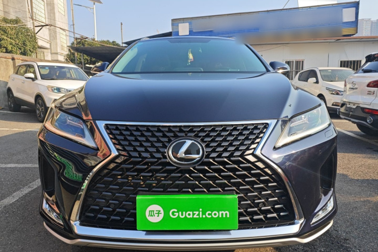 雷克萨斯RX 2020款 300 两驱精英版 国VI车身外观2