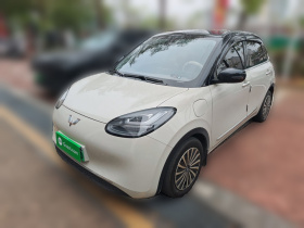 五菱汽车 五菱缤果 2023款 410km 灵犀尊享款