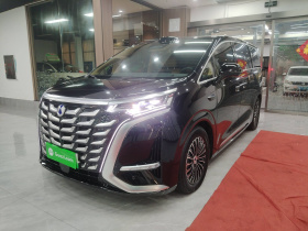 腾势D9 2025款 DM-i 智驾版 1020 四驱旗舰型