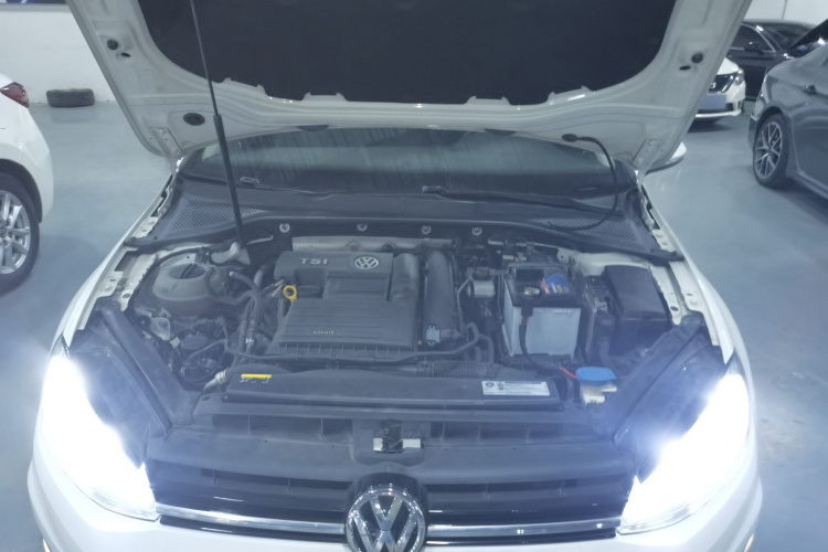 大众 高尔夫 2019款 280TSI DSG豪华型 国VI机舱底盘24