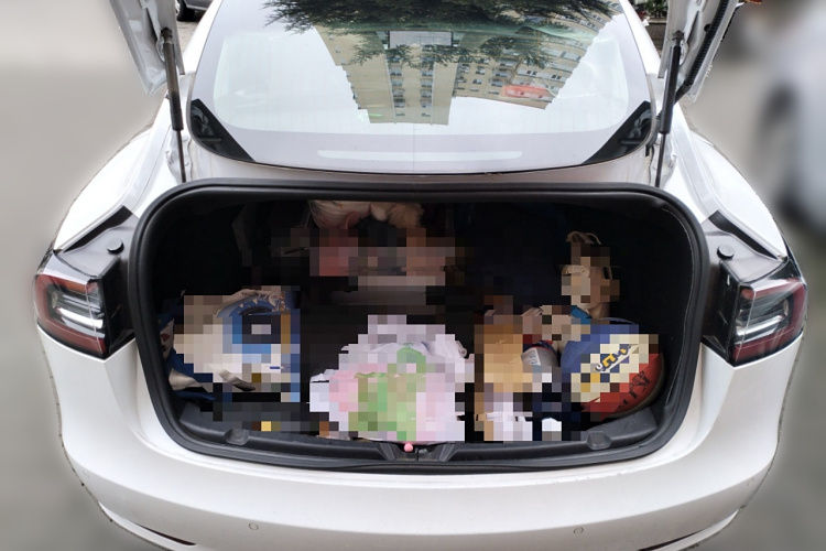 特斯拉 Model 3(进口) 2019款 长续航全轮驱动版局部细节23