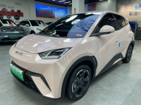 比亚迪 海鸥 2023款 飞翔版