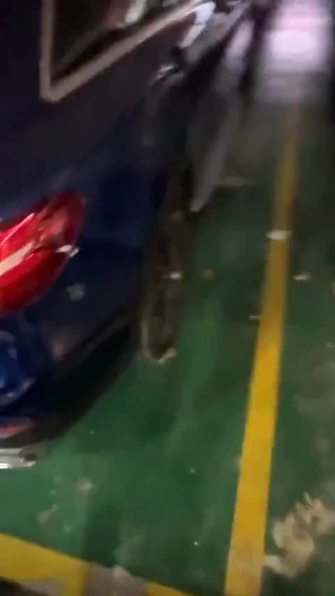 特斯拉 Model Y 2023款 长续航全轮驱动版讲解2