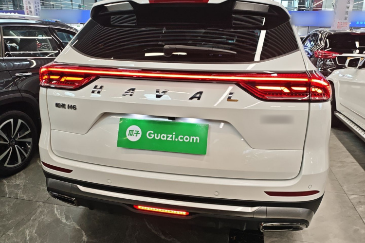 哈弗H6 2025款 1.5T 国潮都市版车身外观6