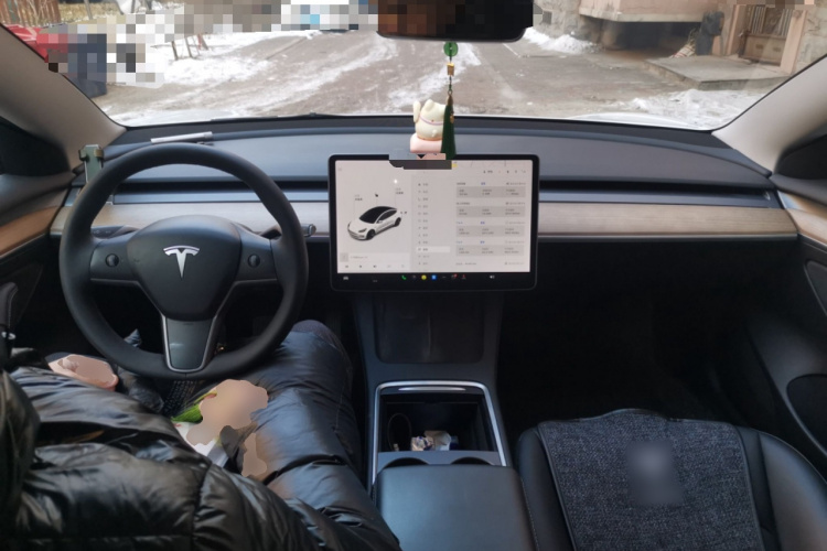 特斯拉 Model 3 2020款 改款 标准续航后驱升级版中控内饰12