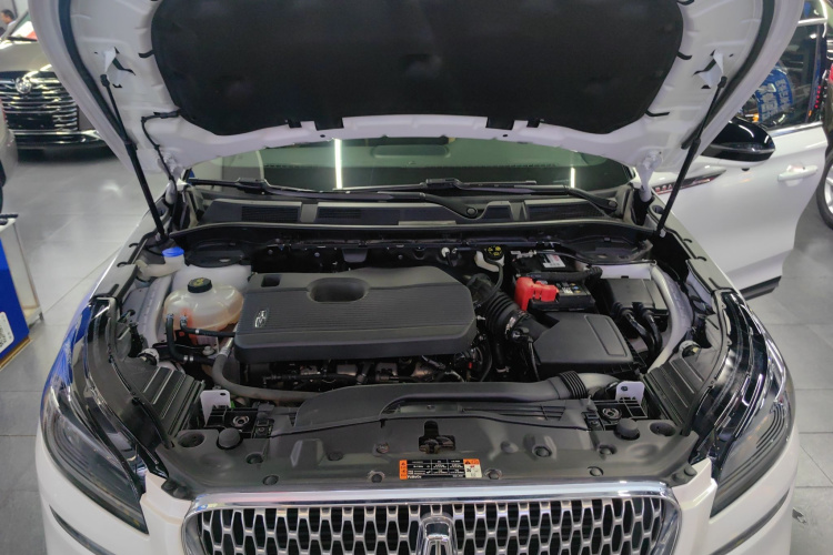 林肯 冒险家 2020款 2.0T 四驱尊雅版局部细节24