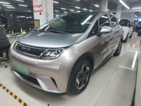 比亚迪 海豚 2021款 405km 时尚版