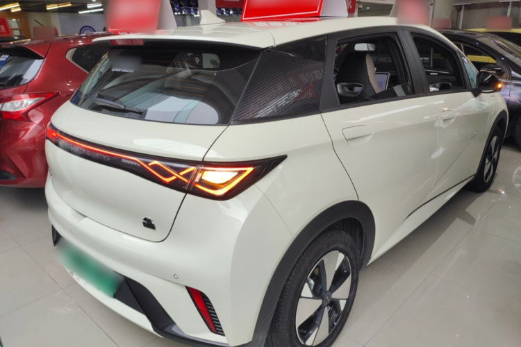 比亚迪 海豚 2023款 420km 时尚版车身外观6005